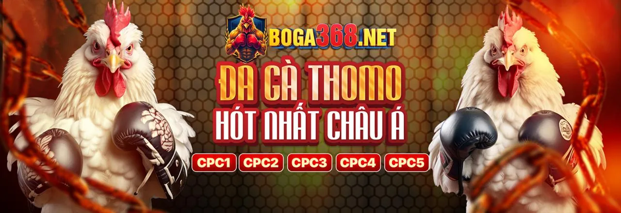 Đá Gà Trực Tuyến Win55 Club