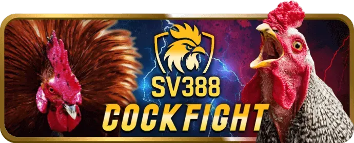 Thưởng chào mừng Win55 Clup